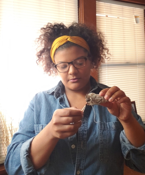 Lighting Sage to clear the negative energy