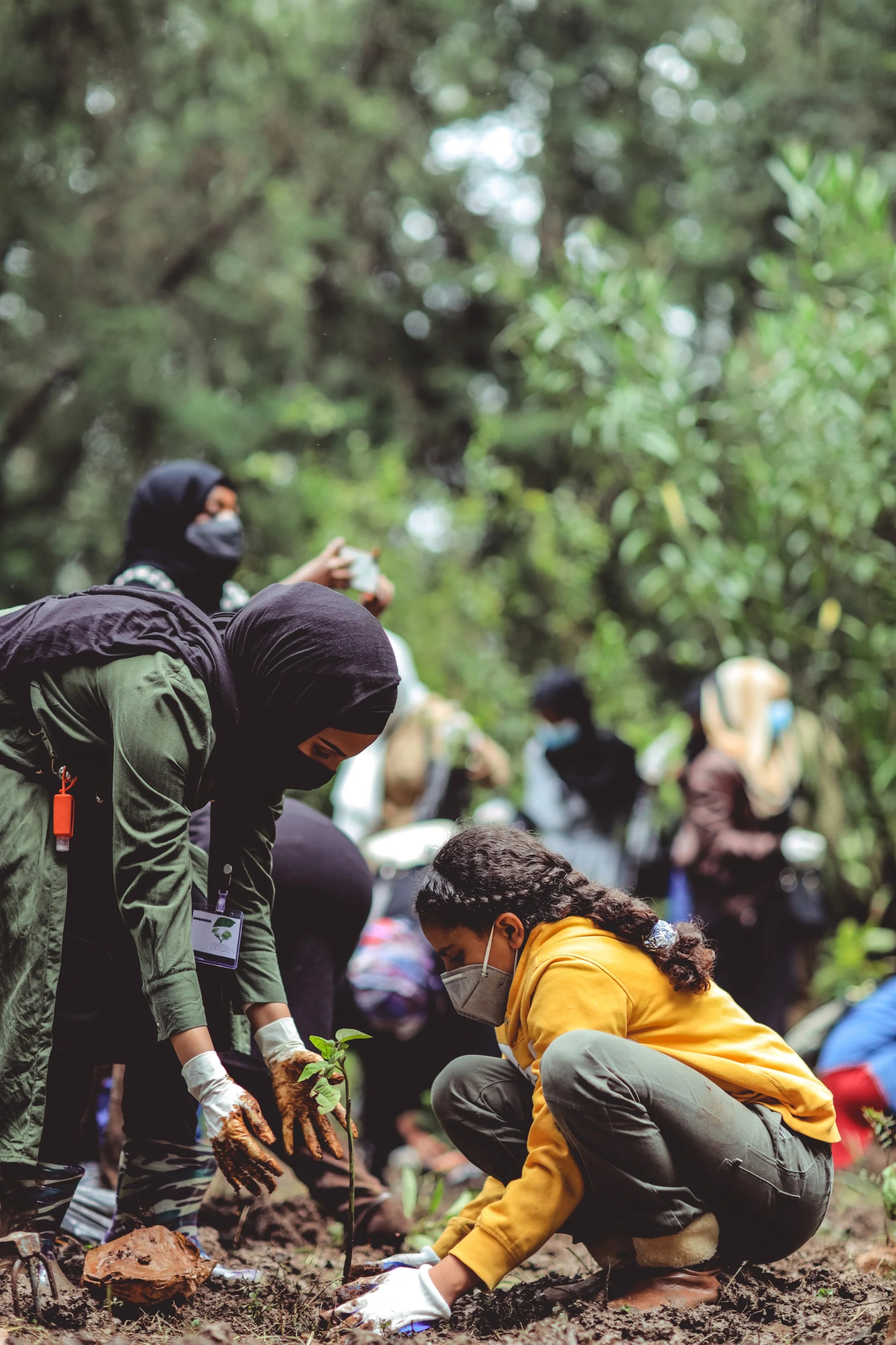 A group of people participating in a tree planting activity, with an adult in a green jacket and gloves assisting a young child in planting a small tree seedling in soil, surrounded by greenery.