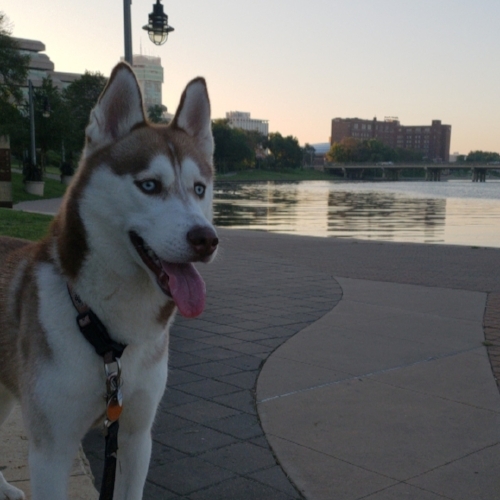 IMG_20180914_073457_199.jpg